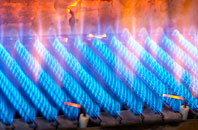 Wearhead gas fired boilers